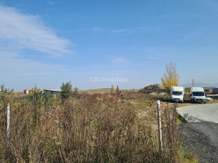 Teren Constructii Industriale - 5