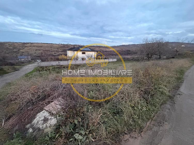 Teren Bucium – Plopii Fără Soț, 469–938 mp - 4