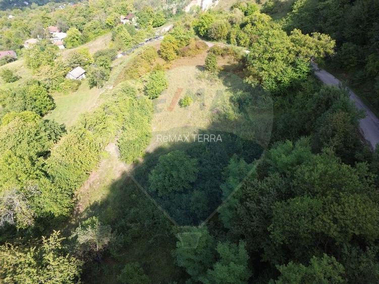 Teren intravilan de vânzare în Măgureni - 11