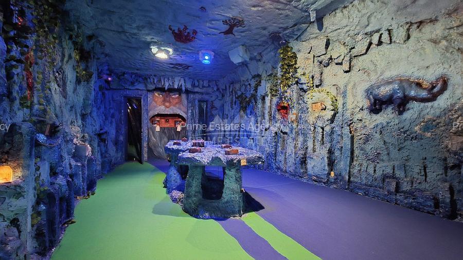 Imobil S+P+1+M de vanzare investitie  Parcul Cismigiu Schitu Magureanu - 7