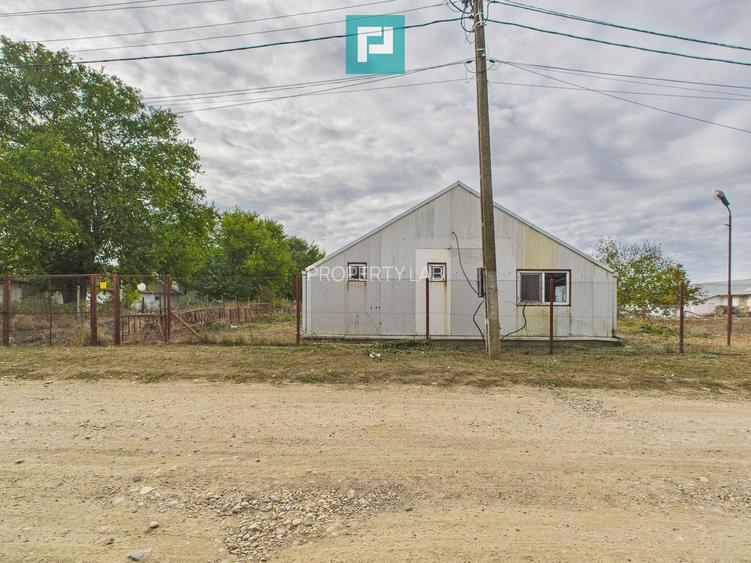 Hală pentru producție / fermă zootehnică  - Variaș - 20