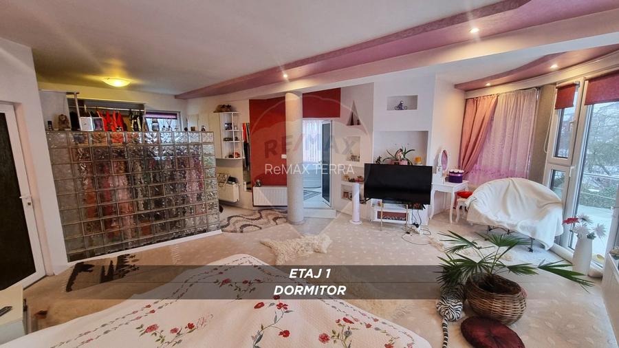 Casă / Vilă cu 10 camere de vânzare în SIGHETUL MARMATIEI zona Central - 22