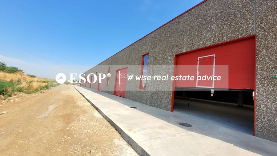 Hale industriale, parc modern, Rudeni, Chitila, Ilfov- ID 15462 - 23