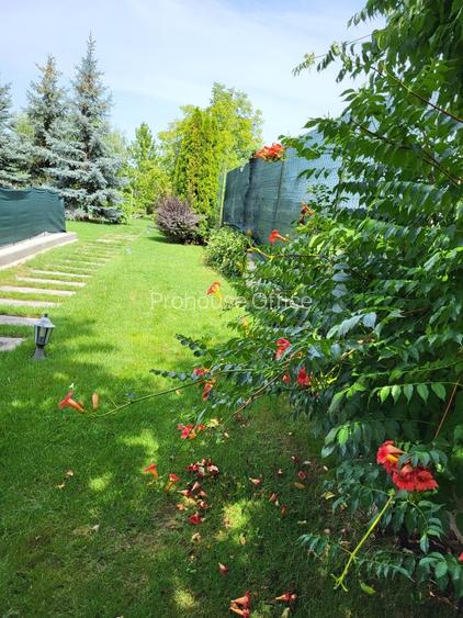 Dimineți pe ponton, seri la piscină – viața la Snagov - 14