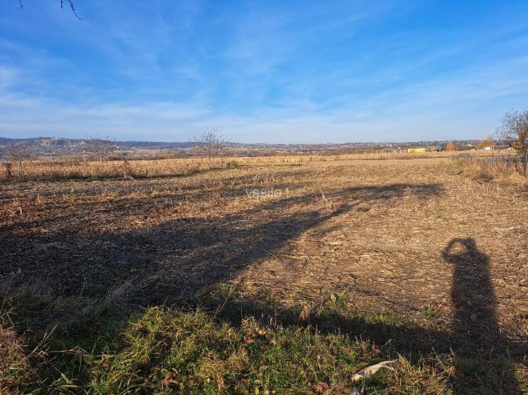 Casa  batraneasca de vânzare   - 8
