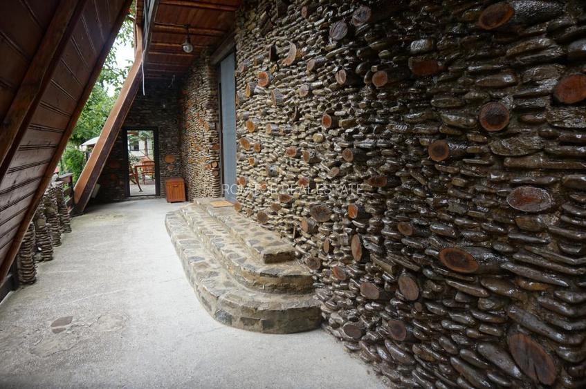 Campina Valea Doftanei Sotrile Paltinu - 16