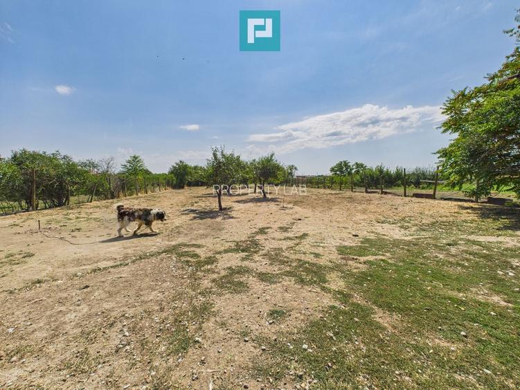 Casă cu 6 camere în Sânicolau Mare Timiș - 21