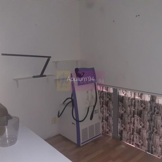 Spatiu Comercial Stradal Șoseaua Colentina zona Teiul Doamnei Suveica - 48