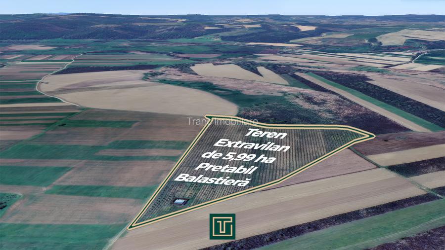 Teren extravilan de 5,99 ha la 200 m de Mureș, ideal pentru balastieră în Ususău - 4