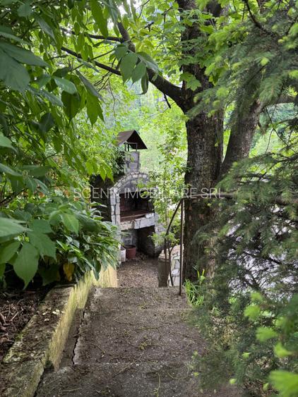 Moieciu, sat Cheia,  zona de poveste. Se accepta schimb imobiliar Bucuresti, Bv - 16