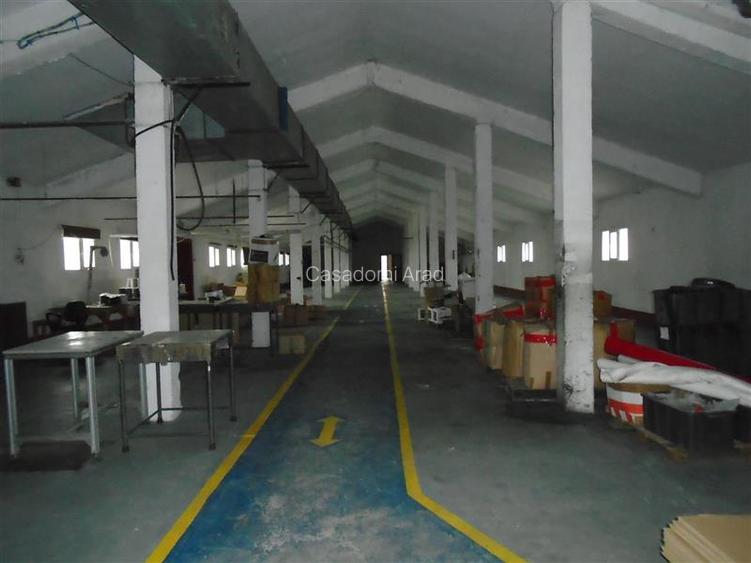 Hala de inchiriat in Aradul Nou - 8