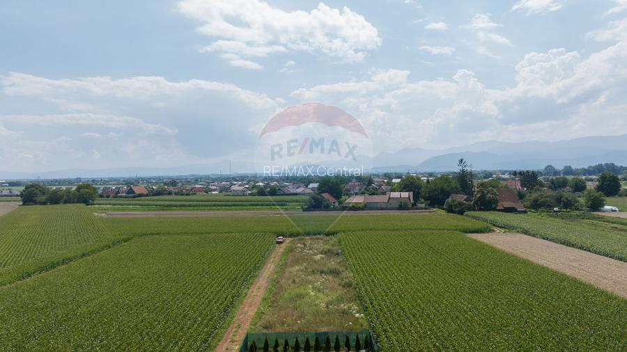 Teren de 1100 mp de vânzare în Stupini - 3