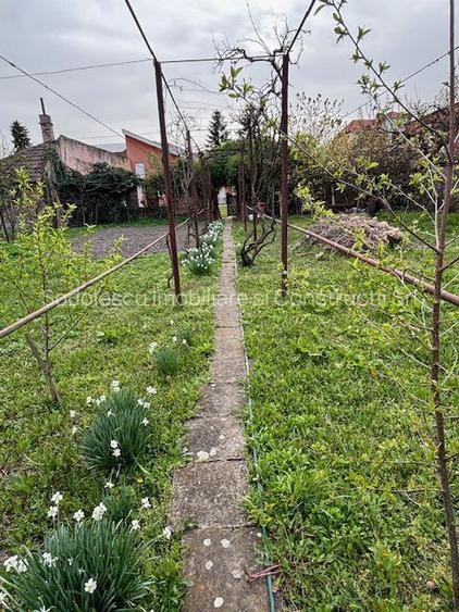 Casa individuala cu teren generos - 16