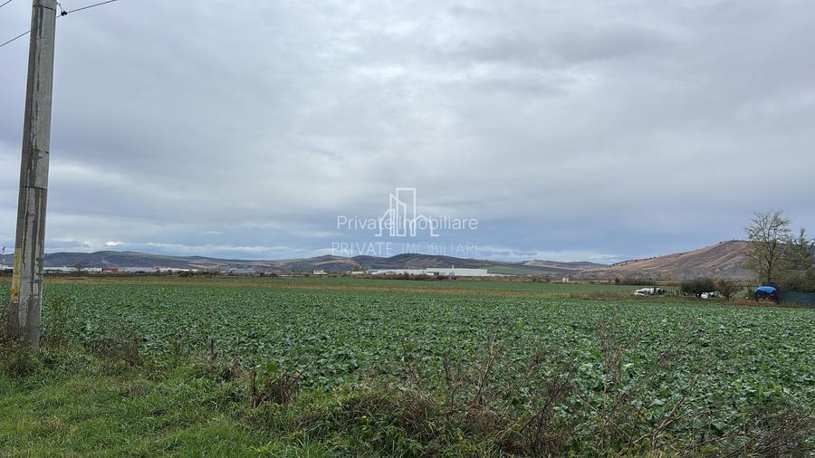 Teren 10 000 Mp Deschidere E60, Zona Aeroport/Autostrada, Ungheni - 3