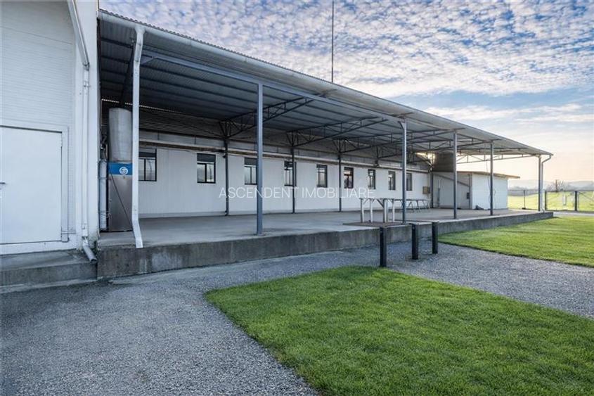Parc industrial modernizat, acces bilatera, potential remarcabil, Sfantu Gheorgh - 24