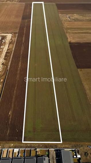 Teren constructii 4ha Tarlungeni - 6