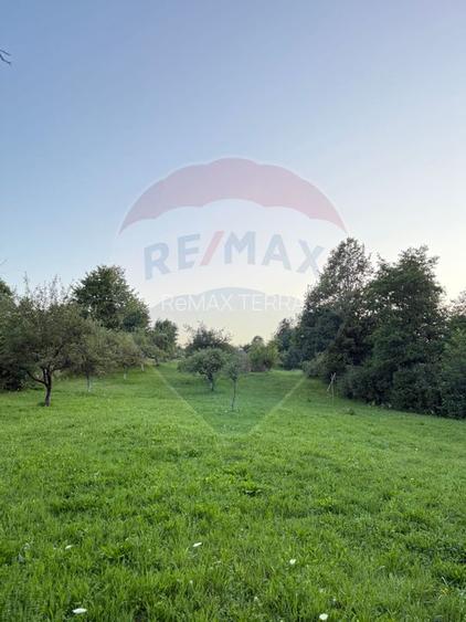 Teren în cea mai turistica localitate din Romania - Breb / Maramureș - 4