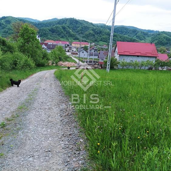 Teren 37.5 ari intravilan - 2