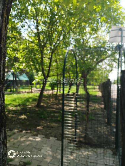 POPASUL CU PAUNI- DE 85, spre  URZICENI, inchiriere restaurant cu terasa - 12