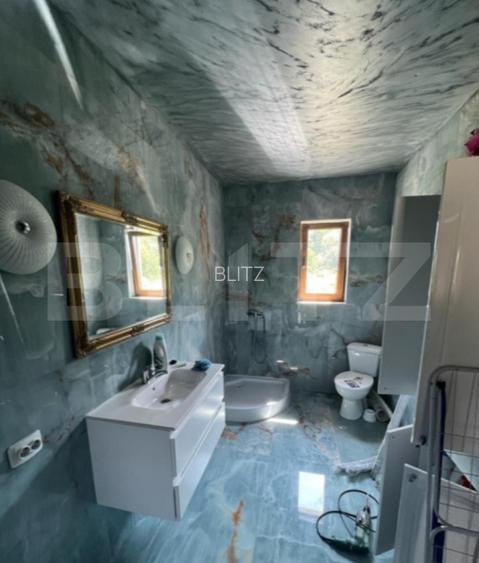 Casa de vanzare, pe un singur nivel, 170 mp + 2.300 mp teren - 13