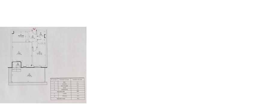 2 camere-  Zona Torontalului - 1