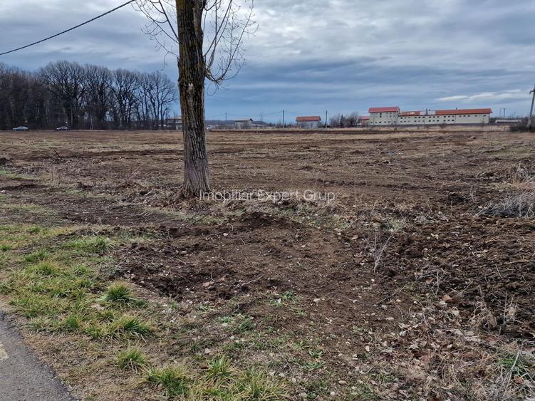 Ciolpani adiacent  DN1  teren  12800 mp  parcelabil  toate utilitatile - 6