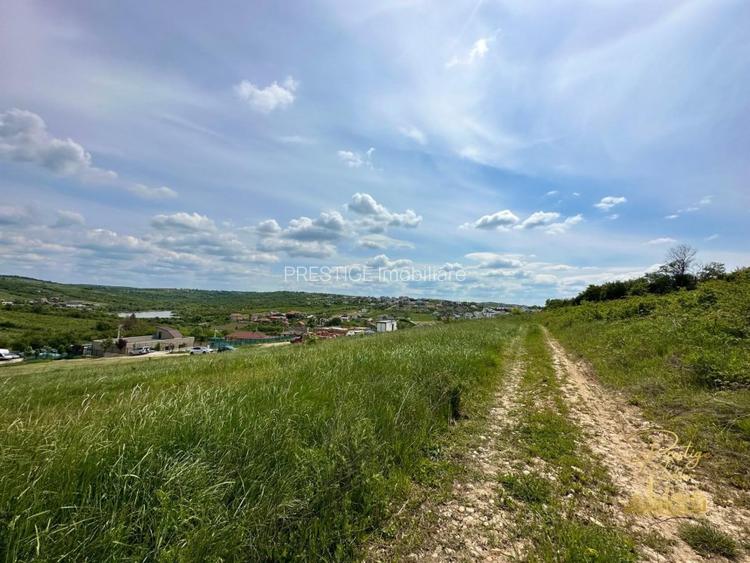 Teren intravilan in zona Hanul Pescarilor, str. Dealul lui Dumnezeu - 5