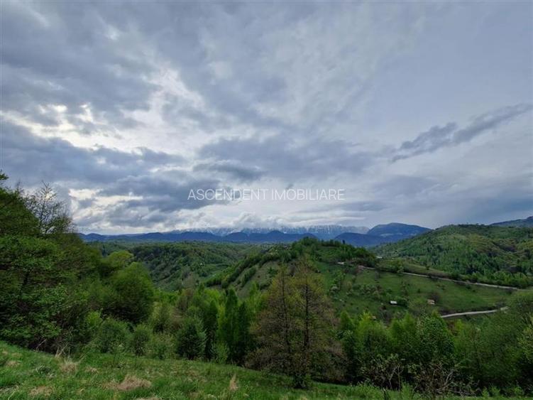 7.000 mp, pozitie spectaculoasa, fara vecini, Fundatica, Brasov - 4
