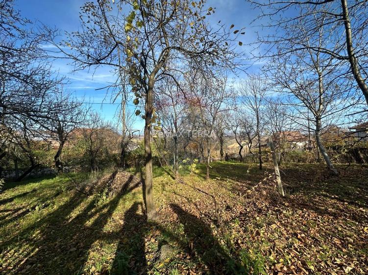 GOSPODARIE - liniste - natura - DE VANZARE - 2