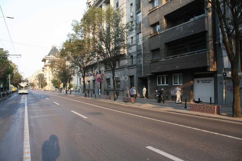 Apartament Bd. Regina Elisabeta/Cismigiu - 4