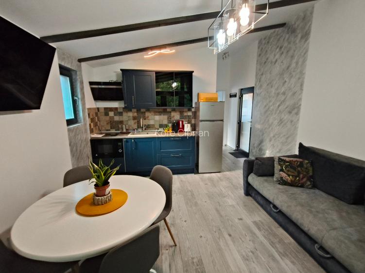 Imobil compus din 2 apartamente de vânzare în Bușteni  - 6