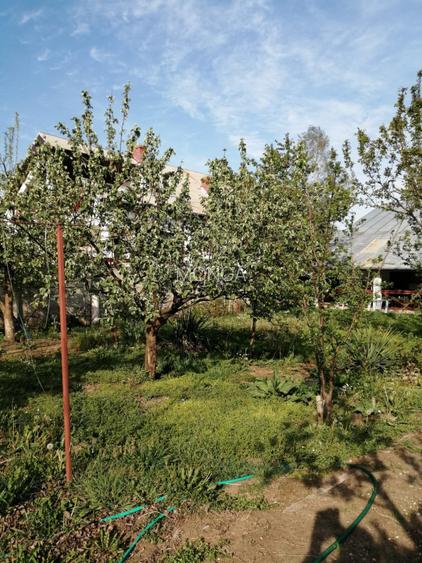 Casa 3 camere 100 mp | teren 937 mp | Vladeni central | mansarda |mobilat utilat - 12