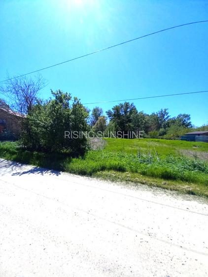 Teren intravilan | 1000 mp | Magurele | Toate utilitatile - 5