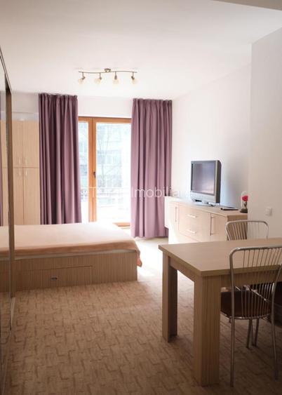 Domenii / Studio Mobilat / Metrou Grivița la 5 minute pe jos - 11