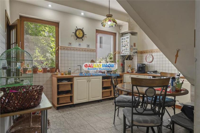 Vanzare vila Lacul TEI  PETRICANI INSULA  LAC 1900 MP TEREN - 25