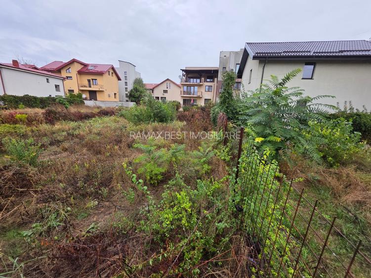 B-ul Nicolae Grigorescu, chiar la pasajul peste Spaliul Unirii, - 2