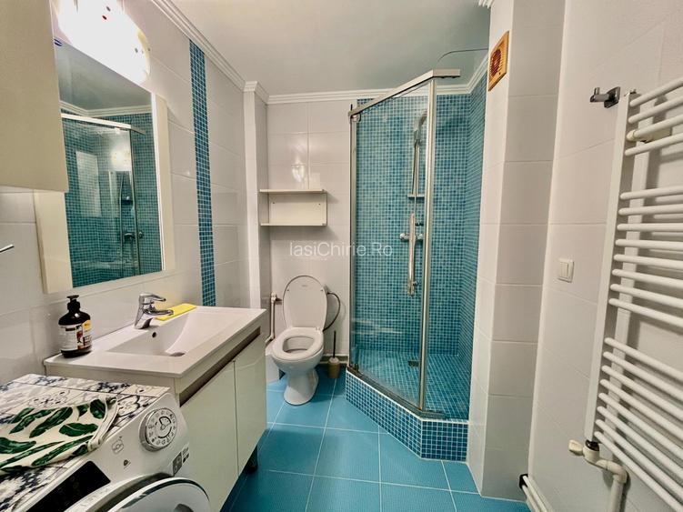 Apartament de inchiriat, o camera, Open space, 42 mp, Nicolina, (Rond Vechi) - 15