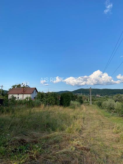 Teren intravilan în zona linistita - 5