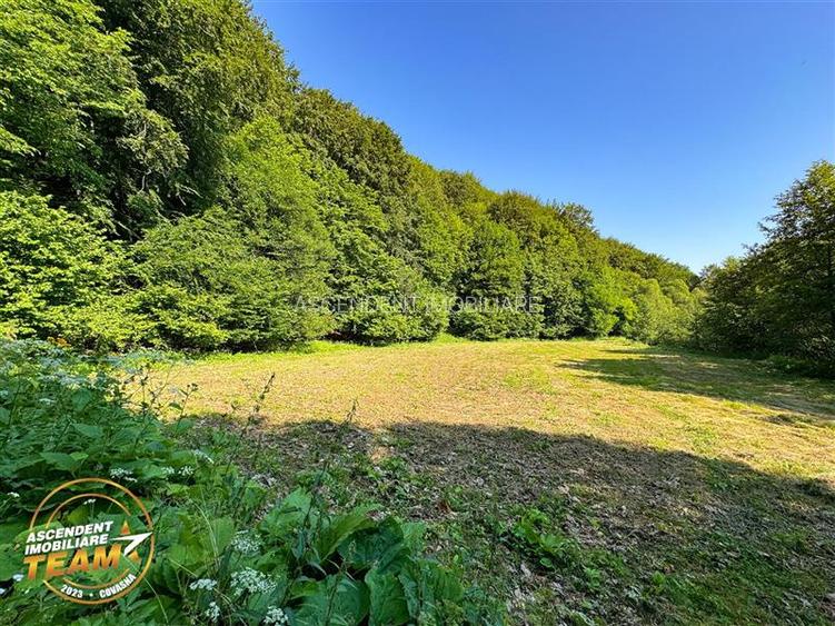 FILM! Teren extravilan pe 2.737mp,zona pretioasa,acces facil,Dobarlau,Covasna - 2