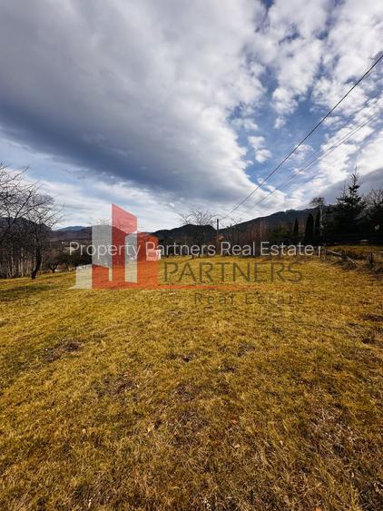 Teren 1000 mp Bran/ Sohodol - 5