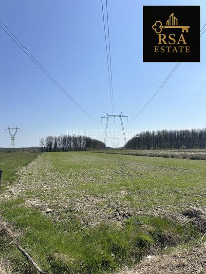 Teren de vânzare 4760Mp Stoilesti - 5