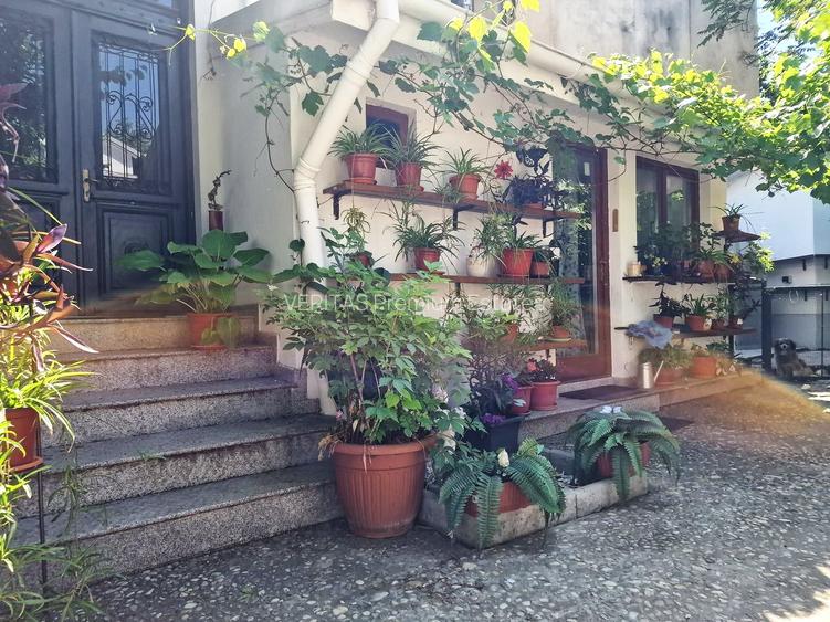 Imobil de birouri superb, curte generoasa, Unirii, 1750 teren, 35 de camere - 10