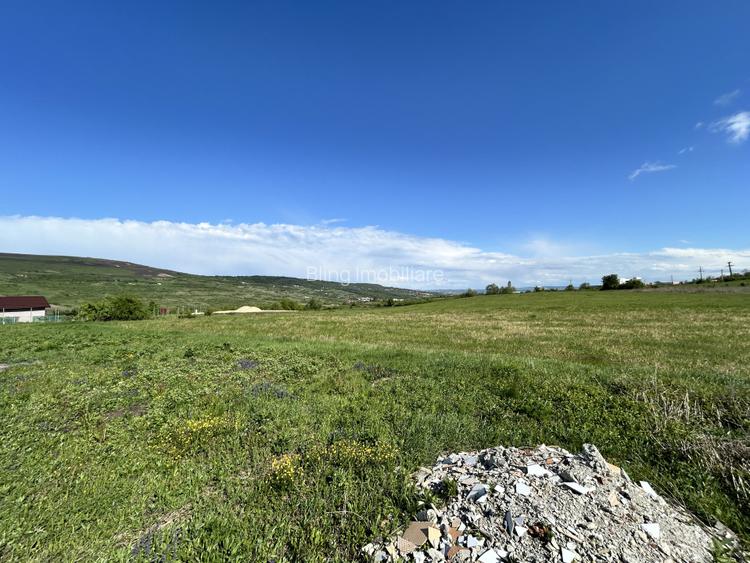 Teren Valea Chintaului / Cluj 5.547mp  parcelabil  - 2
