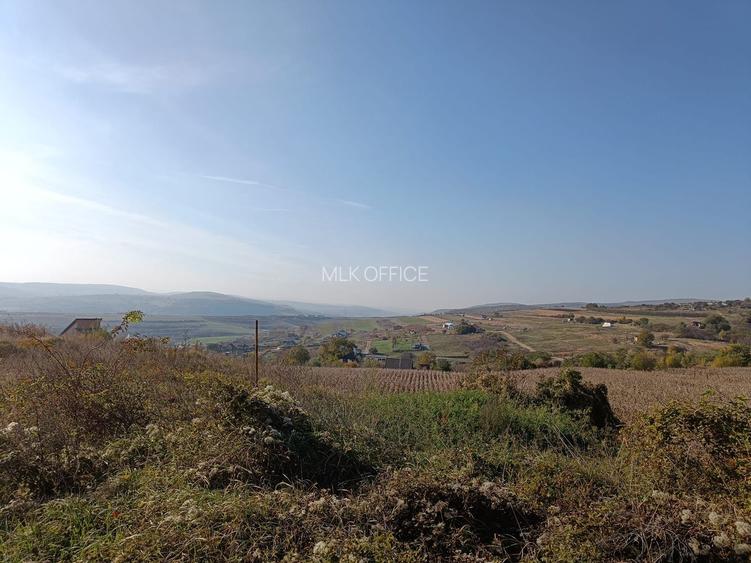 Teren extravilan 5,671mp Cluj-Napoca / Strada Lombului - 2