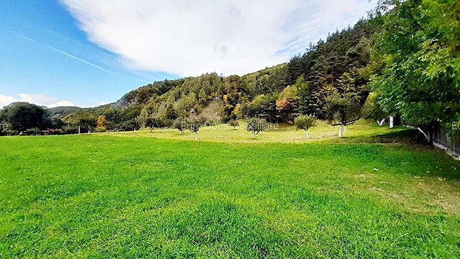 Teren superb de 16240mp, parcelabil, in Bran la intrare in Moeciu de Jos - 5