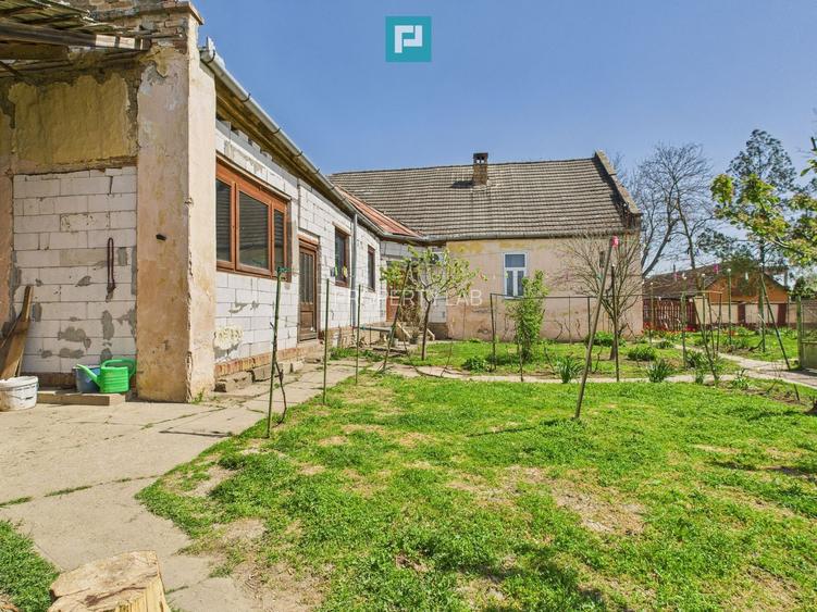 Casă cu grădină mare la 30 km de Timișoara - 21