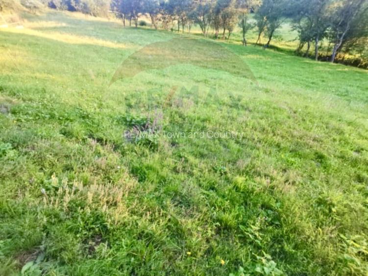 Teren  extravilan Breb 6,900mp - 3