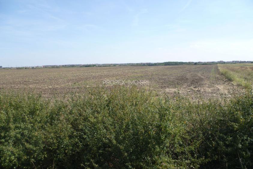 Vand teren pe soseaua de centura, la 800 de metri de Calea Aradului - 5