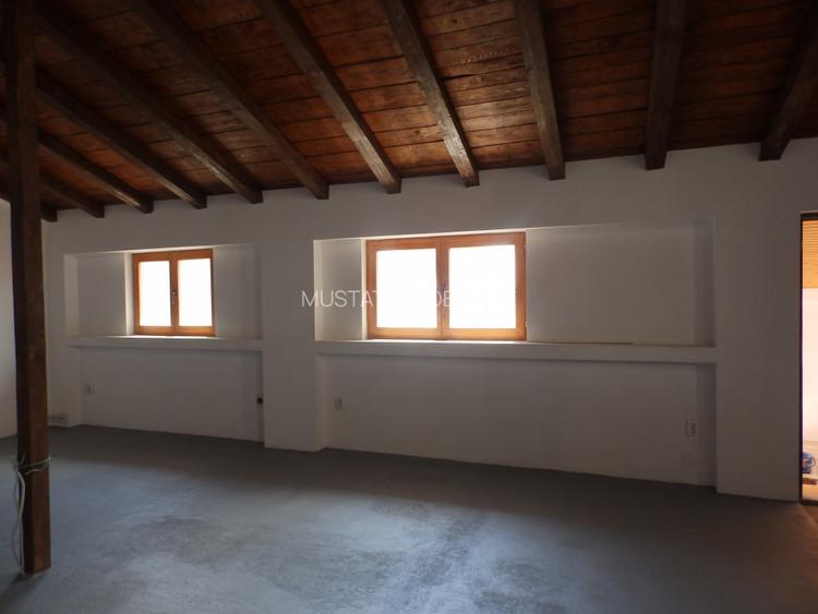 Casa parter plus Mansarda zona Ultracentrala, teren 550mp - 11