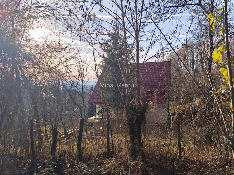 Teren intravilan Breaza 4,000mp utilitati. Panorama superba. Parcelabil - 5